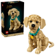 11384 LEGO® Icons  Cucciolo di Golden Retriever