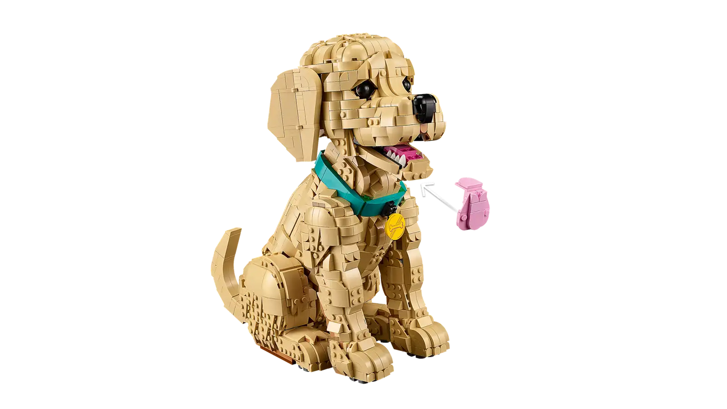 11384 LEGO® Icons  Cucciolo di Golden Retriever