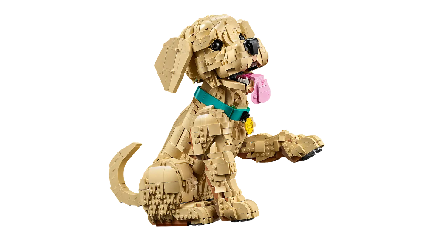 11384 LEGO® Icons  Cucciolo di Golden Retriever