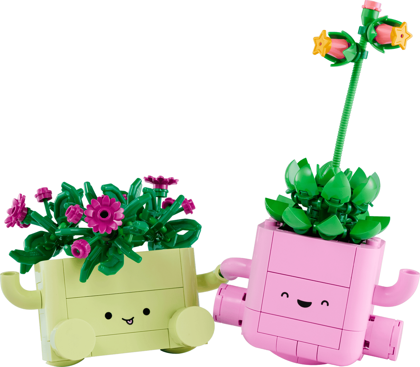 11506 Lego Botanicals Piante dondolanti